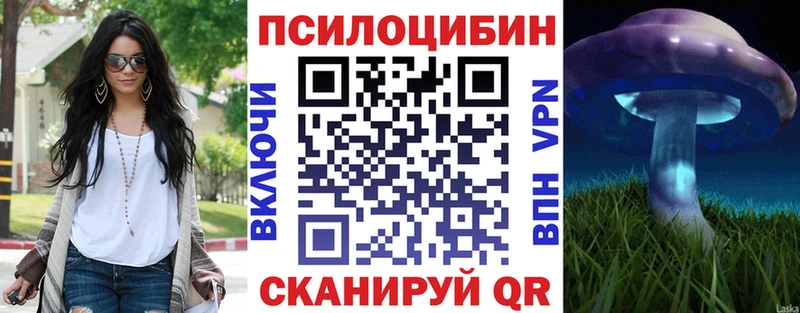 Псилоцибиновые грибы Psilocybine cubensis  Вичуга 